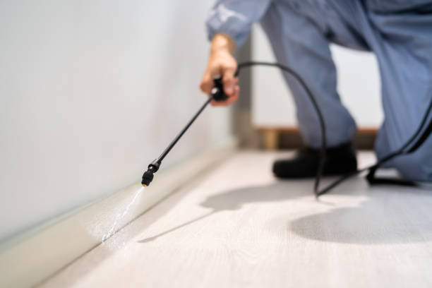 Licensed Cockroach Control service in Wayne County County, GA - Nex Pest Control
